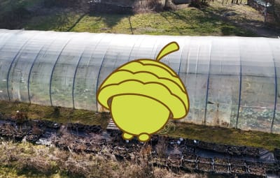 Gartenwald im Aufbau