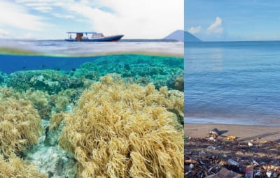 Plastic Waste Business