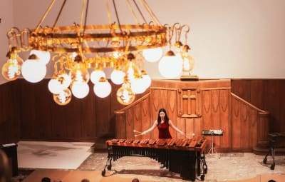 Silhouette Marimba Concert