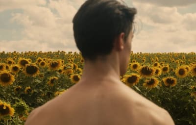 Sonnenblumen weinen auch