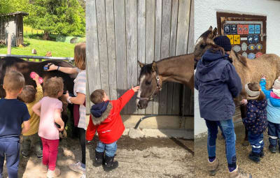 Enseigner avec les chevaux