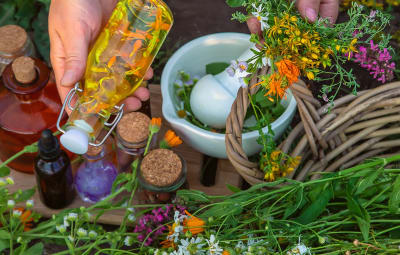 Frauenkraft & Heilkräuter