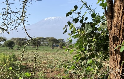 Wir bauen einen Brunnen!