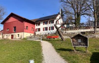 Ein Pizzaofen für den Verein