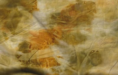 "The Times We Never Had"