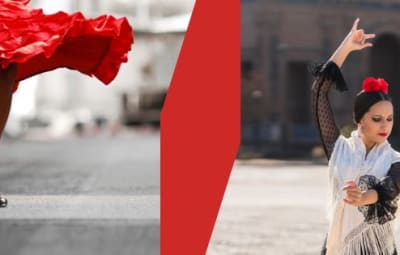 Sauvons l'Arte Andaluz