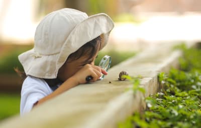 Rethinking Education