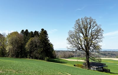 Unser Klubhaus retten