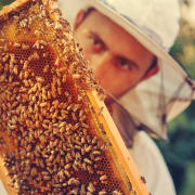 BeeKeeper