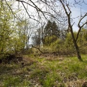 Verein IG Stopp Zerstörung Naturlandschaft in Zürich-Leimbach