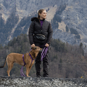 dogshome