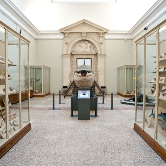 Musée cantonal de zoologie
