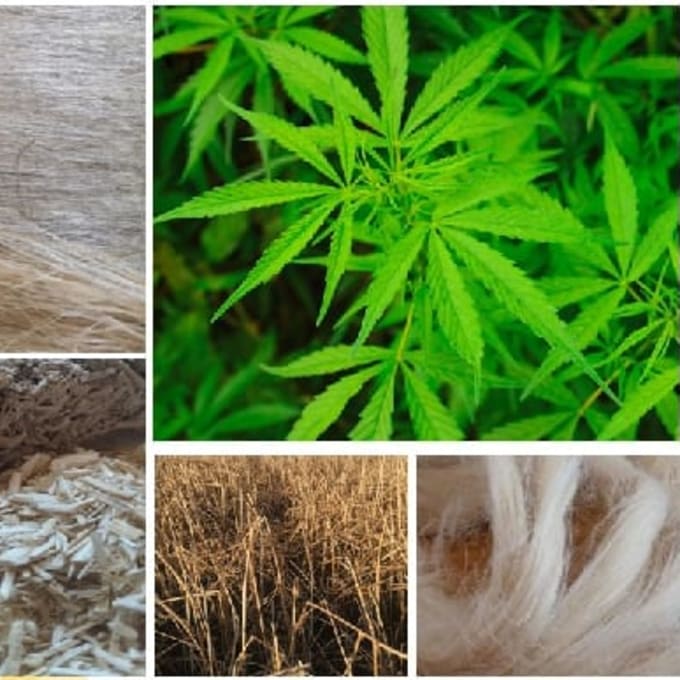 Martin Klöti, Hanfner.net