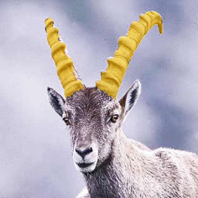 Corne d'Or