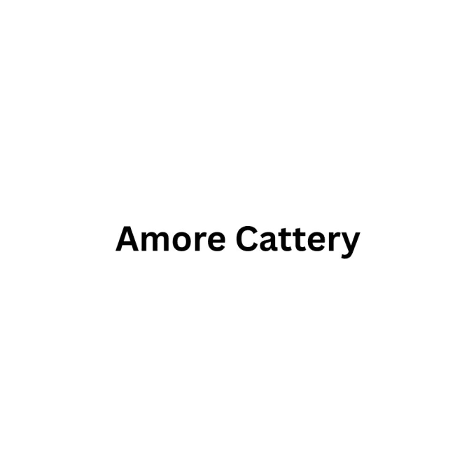 amorecattery05