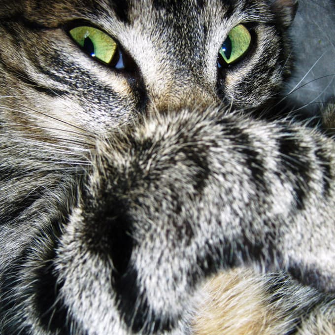 Marius & Bonghi Ju Lochbihler