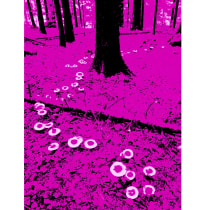 Picture 8cff3ccc 8658 40d9 9bd1 c02656d2dd85