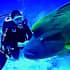 Picture 4b5e4e4d f9d2 4f64 bbc0 ac4192ae8ce6