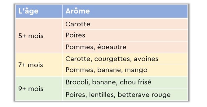 Paquet de 12 mois - yamo