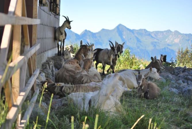 Im Schatten neben der Oberberghütte