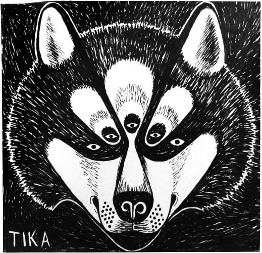 150.- TIKA: HUSKY