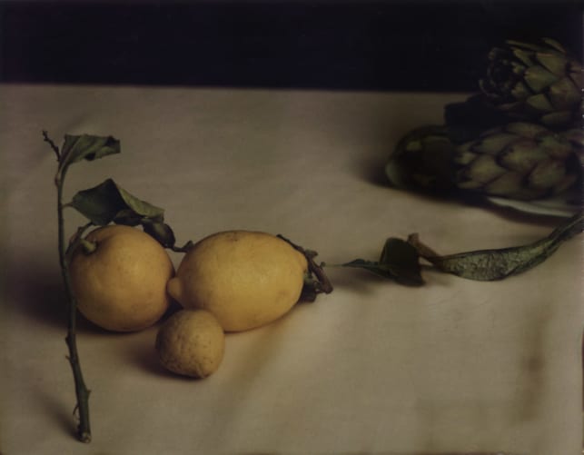 ’Les Citrons’,  Katharina Lütscher 2004