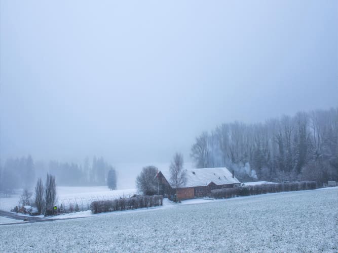 «Winterschlaf» im Birchhof