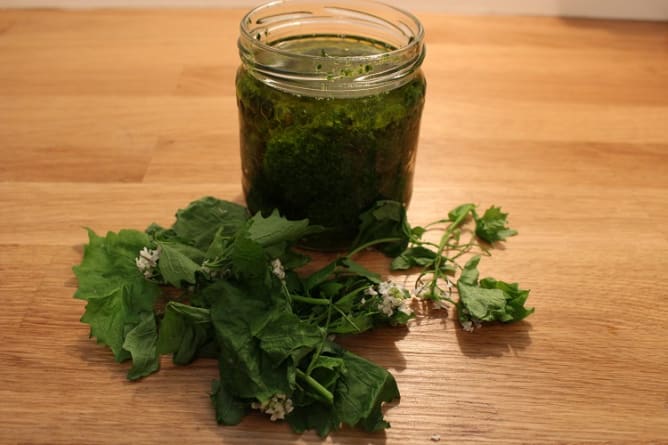 Kräuter Pesto