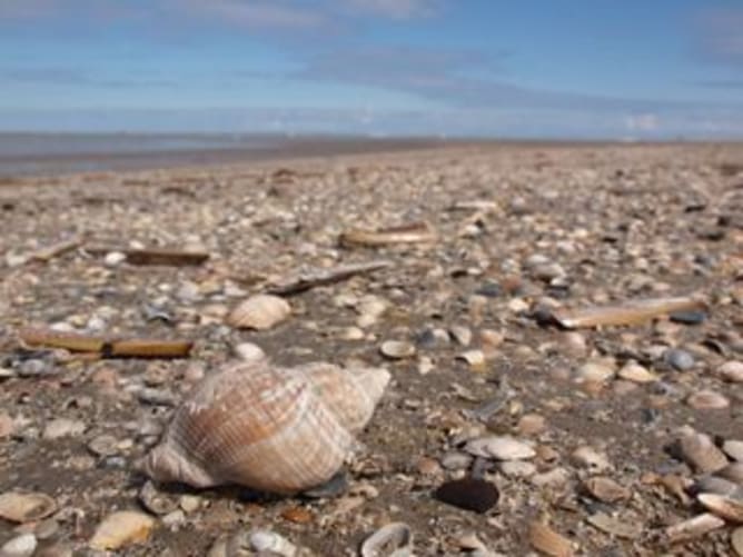 der Strand wie wir ihn lieben...