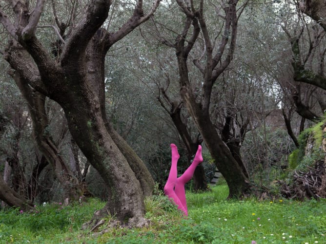 Sprouting Legs from the Medusa Series. C-print. 56 x 82 cm. Bogliasco/Italy 2015.