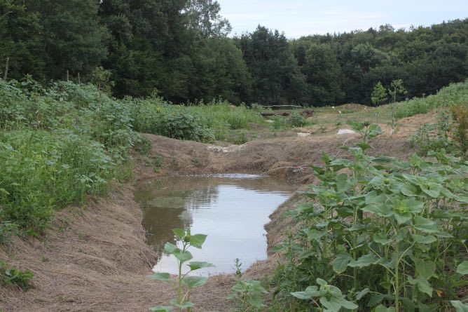 das Wasserretentionsbecken im Frühjahr