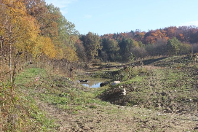 das Wasserretentionsbecken im Herbst