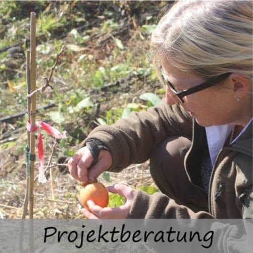 Judith kommt zu Dir und schaut sich Deinen Garten/Dein Grundstück an