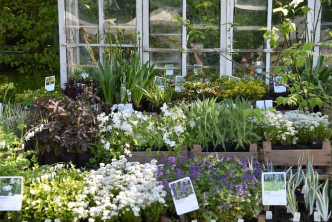 Jardin en Fête Coppet