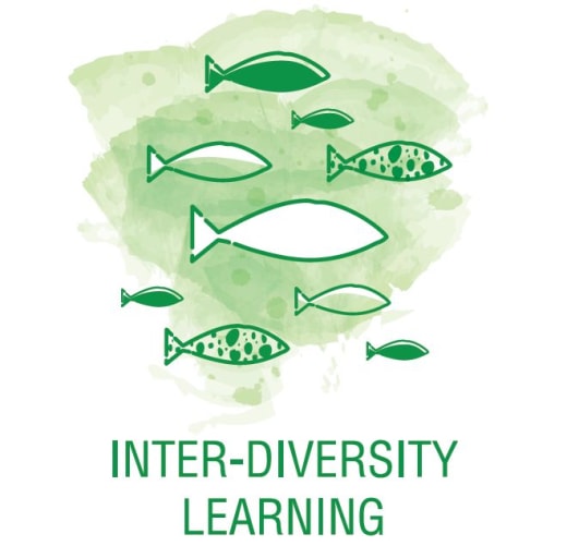 Learning is based on the diversity of participants: the interaction with each other’s unique experiences fosters solidarity and understanding.