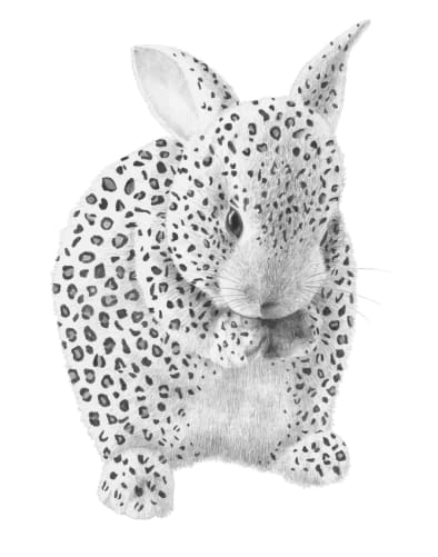 CHF 120: 30x40cm «leopard rabbit» art print