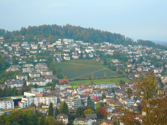Aussicht auf den Rebberg vom Schloss Schauensee