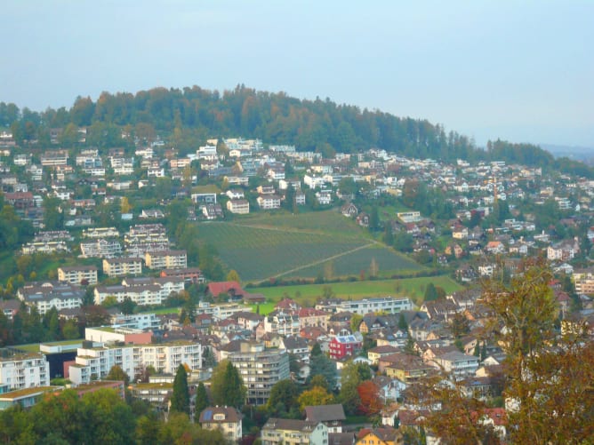 Aussicht auf den Rebberg vom Schloss Schauensee