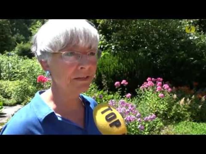 20160719 news werte kampagne freidenker winterthur