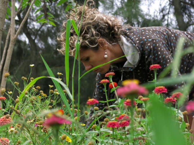 Picking flowers for the market