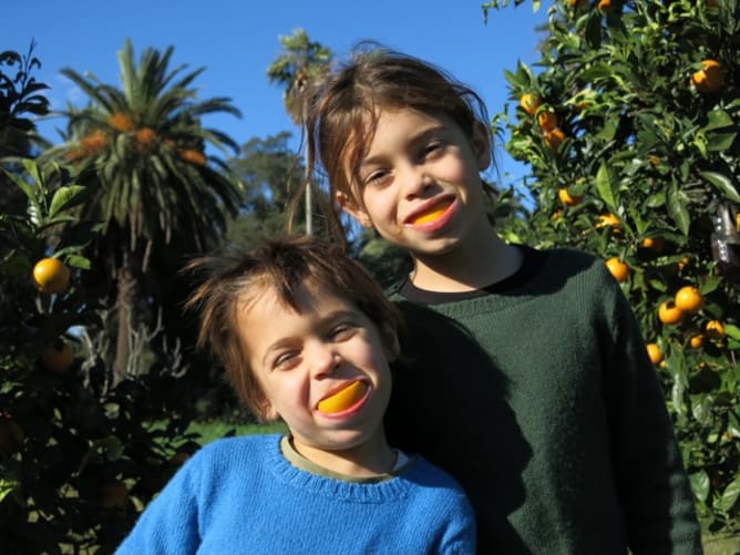 Laughing with oranges