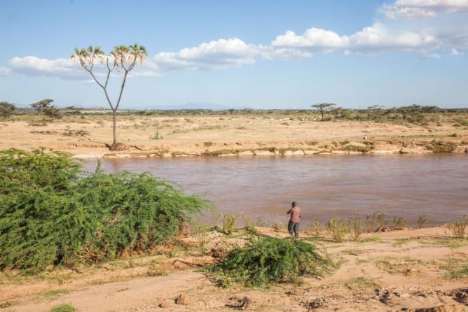 Halbwüste mit Uaso Nyiro River und Doumpalme beim Umoja village