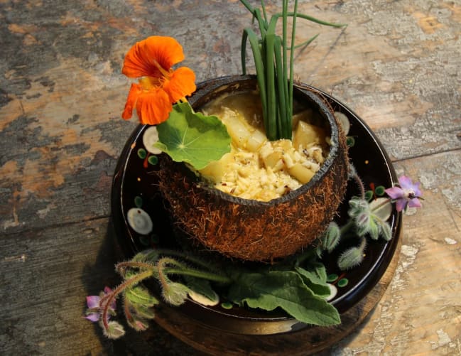 Koko Melika Ein Bienencurry in der Kokosschale gekocht