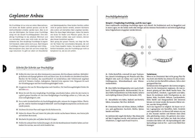 detaillierte Infos zur Fruchtfolge