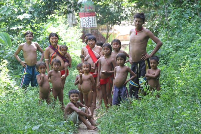 Tribu des Yanomami