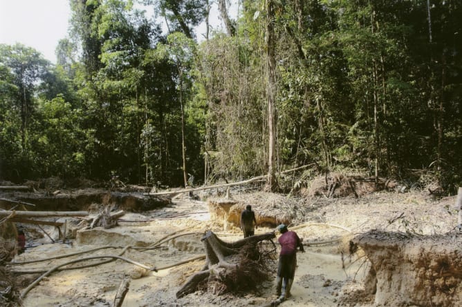 Destruction de la forêt amazonienne