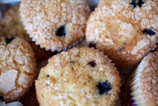 Blueberry Vanilla Muffins