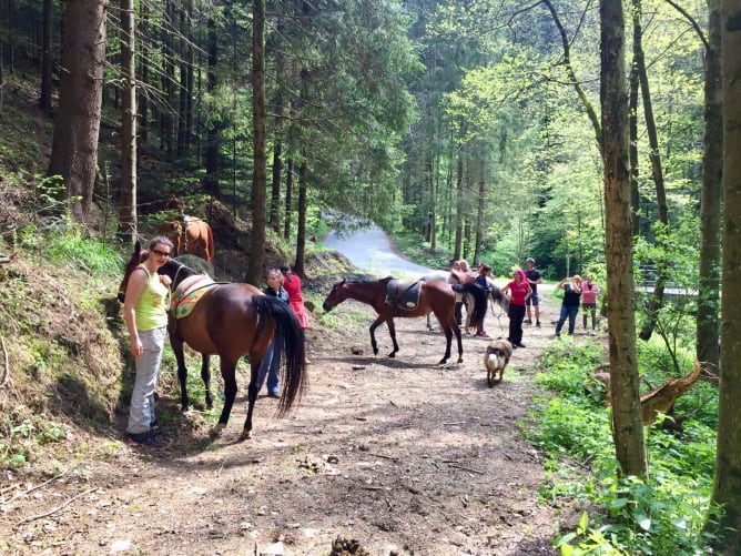 Pferdewandern in der Natur