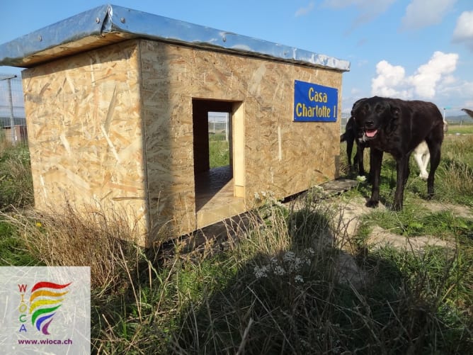 Isolierte Hundehütte im Auslauf