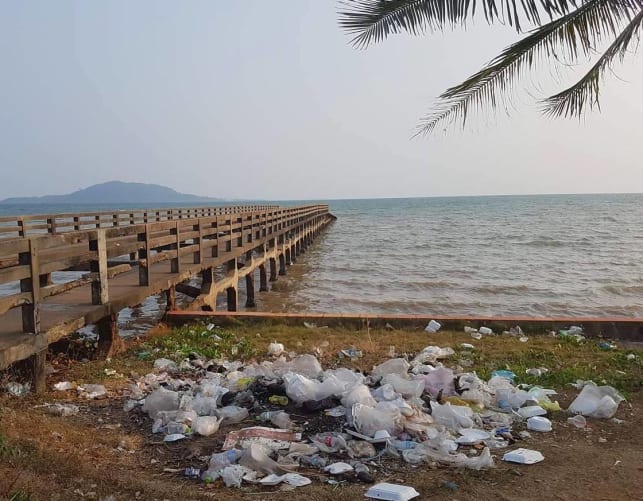 L'environnement, la faune et la flore sont pollués par les déchets en plastique